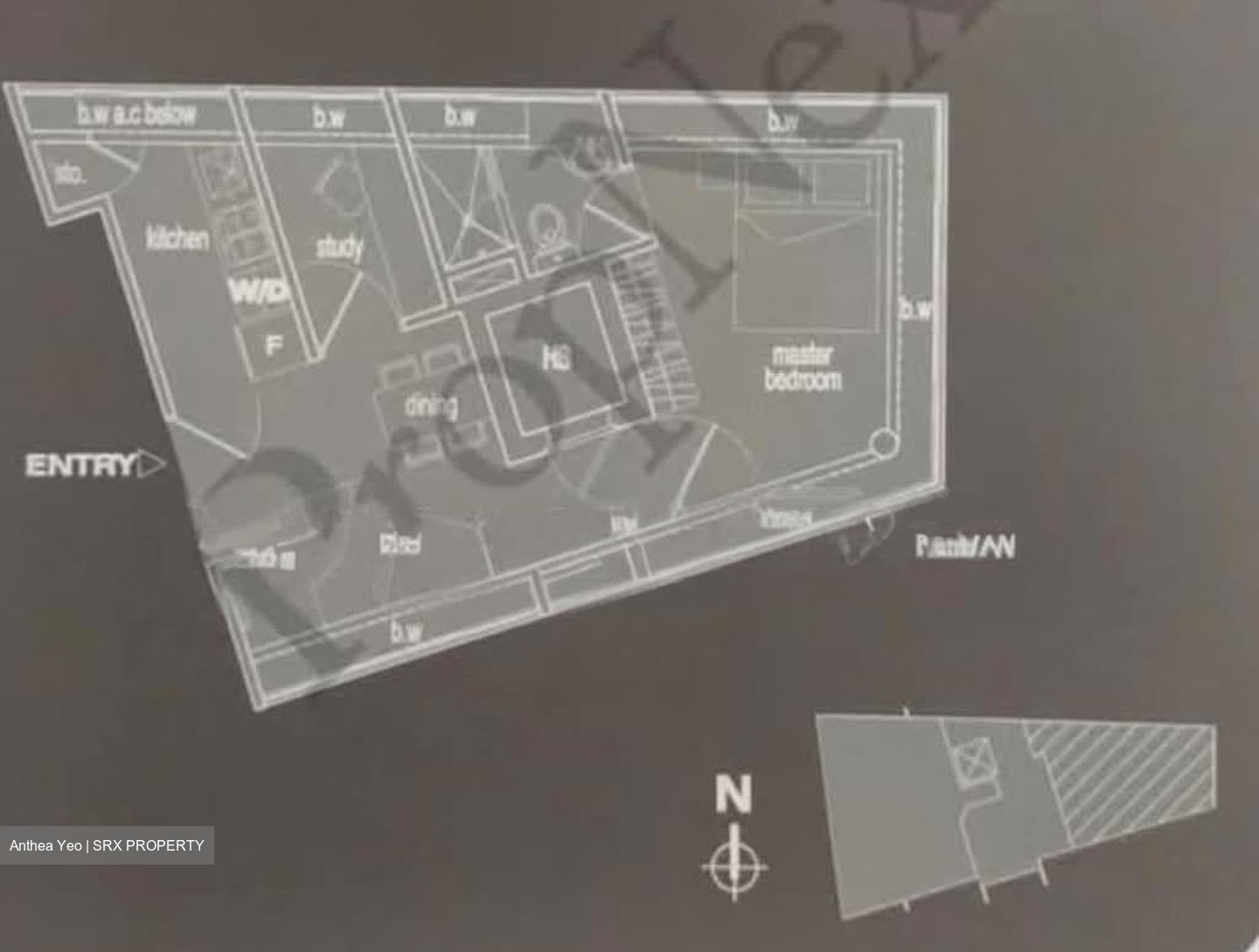 Novelis (D11), Apartment #550071641